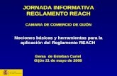 JORNADA INFORMATIVA REGLAMENTO REACH CAMARA DE COMERCIO DE GIJÓN Nociones básicas y herramientas para la aplicación del Reglamento REACH Gema de Esteban.