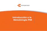 Introducción a la Metodología PMI. PROYECTOS 2010-2011 GESTIÓN OFICINA DE PROYECTOS 1.INTRODUCCIÓN A LA METODOLOGÍA PMI 2.FLUJOS DEL PROCESO PFP 3.LINEAMIENTOS.