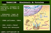 1 TRADUCCION - Biosíntesis de Proteínas - 1950s Proteínas: arreglos de solo 20 aa en forma no azarosa - Ribosomas: lugar de síntesis de proteínas - 1960s.
