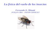 La física del vuelo de los insectos Fernando O. Minotti FCEyN-UBA – INFIP-CONICET.