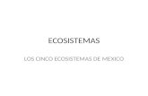 ECOSISTEMAS LOS CINCO ECOSISTEMAS DE MEXICO. ECOSISTEMA MARINO Los ecosistemas marinos están dentro de los ecosistemas acuáticos. Incluyen los océanos,