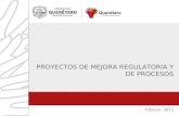 Febrero 2015 PROYECTOS DE MEJORA REGULATORIA Y DE PROCESOS.