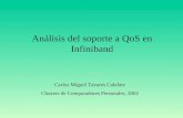 Análisis del soporte a QoS en Infiniband Carlos Miguel Tavares Calafate Clusters de Computadores Personales, 2002.