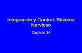 Integración y Control: Sistema Nervioso Capítulo 34.