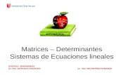 Matrices – Determinantes Sistemas de Ecuaciones lineales DOCENTES RESPONSABLES: Lic. Mat. JAIME BACA GOICOCHEA Lic. Mat. MELVIN PÉREZ ECHEANDÍA.