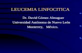 LEUCEMIA LINFOCITICA Dr. David Gómez Almaguer Universidad Autónoma de Nuevo León Monterrey, México.