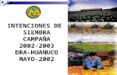 INTENCIONES DE SIEMBRA CAMPAÑA 2002- 2003 DRA-HUANUCO MAYO-2002.