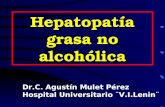 Hepatopatía grasa no alcohólica Dr.C. Agustín Mulet Pérez Hospital Universitario ¨V.I.Lenin¨