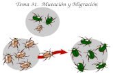 Tema 31. Mutación y Migración. 31. Mutación y Migración Mutación: - cambio estable en el material genético (mutaciones génicas y cromosómicas) - fuente.