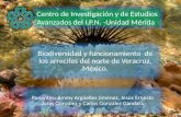Biodiversidad y funcionamiento de los arrecifes del norte de Veracruz, México.