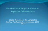 Ligia González de Langarica Master Profesorado Secundaria 2011-20112.