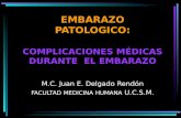EMBARAZO PATOLOGICO: COMPLICACIONES MÉDICAS DURANTE EL EMBARAZO M.C. Juan E. Delgado Rendón FACULTAD MEDICINA HUMANA U.C.S.M.