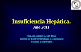 Insuficiencia Hepática. Insuficiencia Hepática. Año 2011 Prof. Dr. Néstor O. Gill Petta. Servicio de Gastroenterología y Hepatología Hospital Central IPS.