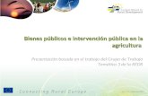 Bienes públicos e intervención pública en la agricultura Ver. 1.0 – Enero de 2011 Presentación basada en el trabajo del Grupo de Trabajo Temático 3 de.