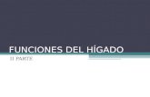 FUNCIONES DEL HÍGADO II PARTE. FUNCIONES DEL HÍGADO 2: ALMACENAJE DE NUTRIENTES EL HÍGADO RECICLA Y ALMACENA TAMBIEN CANTIDADES DE HIERRO -PROVENIENTE.