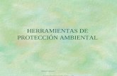 Mabel Daniele Especializacion Dcho Adm y AP HERRAMIENTAS DE PROTECCIÓN AMBIENTAL.
