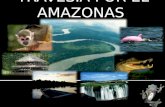 TRAVESIA POR EL AMAZONAS. ADRIANA RODRIGUEZ LUIS EDUARDO PARRADO AUDREY HERNANNDEZ.