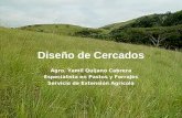 Diseño de Cercados Agro. Yamil Quijano Cabrera Especialista en Pastos y Forrajes Servicio de Extensión Agrícola.