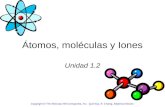 Átomos, moléculas y Iones Unidad 1.2 Copyright © The McGraw-Hill Companies, Inc. Química, R. Chang, Séptima Edición.