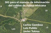 SIG para el manejo de información del cultivo de Palma Africana Carlos Gamboa Luis Pulido Javier Tolosa.