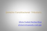 Derecho Constitucional Tributario Silvia Ysabel Núñez Riva silvianr@speedy.com.pe 1.