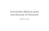 Comandos Básicos para monitorear el Network REDES 316.