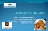 DRA SANDRA GRANADOS PEDIATRA NEONATOLOGA FUNDACION CARDIOVASCULAR TELEMEDICINA.