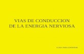 VIAS DE CONDUCCION DE LA ENERGIA NERVIOSA CLICK PARA CONTINUAR.