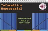 Lic. Claudia Román F. Informática Empresarial Introducción Virus y Protección.