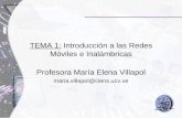 TEMA 1: Introducción a las Redes Móviles e Inalámbricas Profesora María Elena Villapol maria.villapol@ciens.ucv.ve.