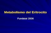Metabolismo del Eritrocito Fundatal 2006. Reticulocito Eritroblasto Eritrocito Pérdida del núcleo Pérdida de ARN y mitocondrias.