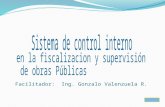 Facilitador: Ing. Gonzalo Valenzuela R.. Describir en el marco de los Sistemas de Administración y Control Gubernamentales (Ley SAFCO al Sistema de Control.