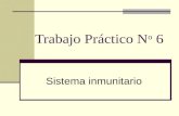 Trabajo Práctico N o 6 Sistema inmunitario. Introducción: El sistema inmunitario está constituido por un tejido conjuntivo especializado, capacitado para.