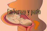 EmbarazoEmbriología Feto El parto Parto Vaginal Maria Paz Conteras 1.