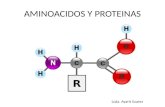AMINOACIDOS Y PROTEINAS Lcda. Ayarit Suarez. Los Aminoácidos Los aminoácidos son nutrientes que forman la base o materia prima de las proteínas y su clasificación.