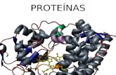 PROTEÍNAS. DOGMA CENTRAL TranscripciónDNA -->RNA Traducción RNA -->Proteínas.