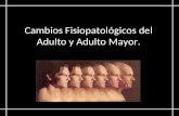 Cambios Fisiopatológicos del Adulto y Adulto Mayor.