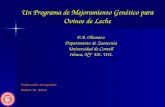 Un Programa de Mejoramiento Genético para Ovinos de Leche P.A. Oltenacu Departmento de Zootecnia Universidad de Cornell Ithaca, NY EE. UU. Traducción al.