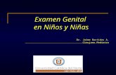 Examen Genital en Niños y Niñas Dr. Jaime Bastidas A. Cirujano Pediatra.