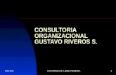 19/07/2015UNIVERSIDAD LIBRE PEREIRA1 CONSULTORIA ORGANIZACIONAL GUSTAVO RIVEROS S.
