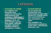 LIPIDOS Concepto de LípidoConcepto de Lípido Los lípidos son biomoléculas orgánicas formadas básicamente por carbono e hidrógeno y generalmente también.