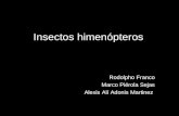 Rodolpho Franco Marco Piérola Sejas Alexis Alí Adonis Martinez Insectos himenópteros.