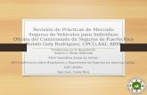 Revisión de Prácticas de Mercado Seguros de Vehículos para Individuos Oficina del Comisionado de Seguros de Puerto Rico Rubén Gely Rodríguez, CPCU,AAI,