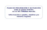 PLAN DE PREVENCIÓN Y ACTUACIÓN ante la gripe A/H1N1 en el IES Villalba Hervás Información a padre, madres y/o tutores legales.
