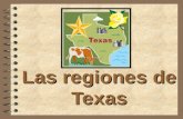 Las regiones de Texas. Existen cuatro regiones principales en Texas  Llanura Central  Montañas y Cuencas  Llanuras Costeras  Grandes Llanuras.