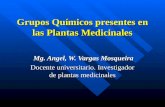 Grupos Químicos presentes en las Plantas Medicinales Mg. Angel, W. Vargas Mosqueira Mg. Angel, W. Vargas Mosqueira Docente universitario. Investigador.