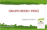 GRUPO REDD+ PERÚ Hugo Che Piu Deza Iquitos, 21 de septiembre del 2011.