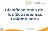 Clasificaciones de los Ecosistemas Colombianos. Clasificación de ecosistemas Colombianos Ecosistemas colombianos según: 2 Jorge Hernández 3 Cuatrecasas.