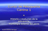Curso de Peluqueria Canina 1 Historia y evolucion de la peluqueria Morfologia externa del perro Autora Cristina Benages.