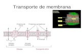 Transporte de membrana. Membrana plasmática SEMIPERMEABLE.